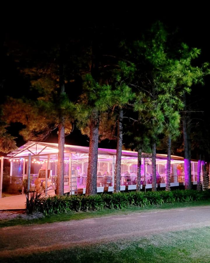 Salón de eventos con luces violetas entre árboles