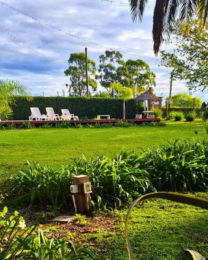 Jardín con césped, agapantos y reposeras